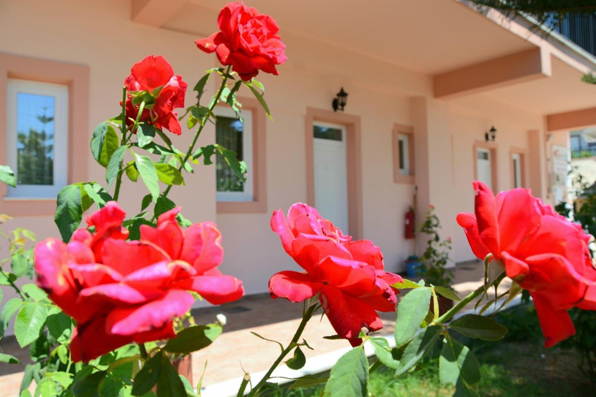 דירות טסיליבי Red Rose Garden מראה חיצוני תמונה